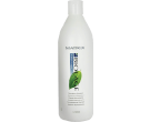 Biolage Normalizing Shampoo