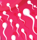 How to Increase Sperm Count