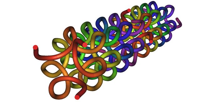 What is Collagen