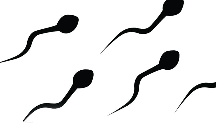 How to Increase Sperm Count