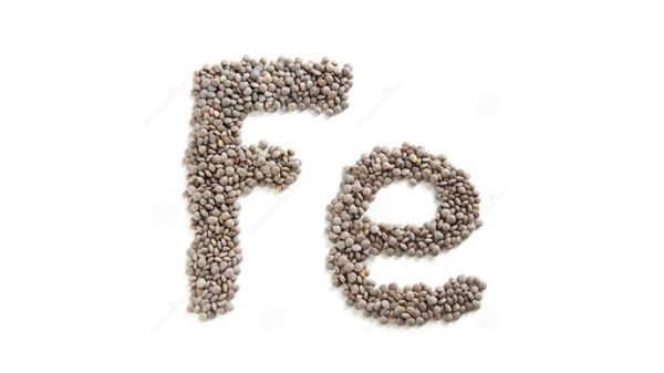 What are sources of iron