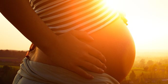 Pregnancy by Month