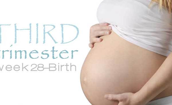 Third Trimester of Pregnancy
