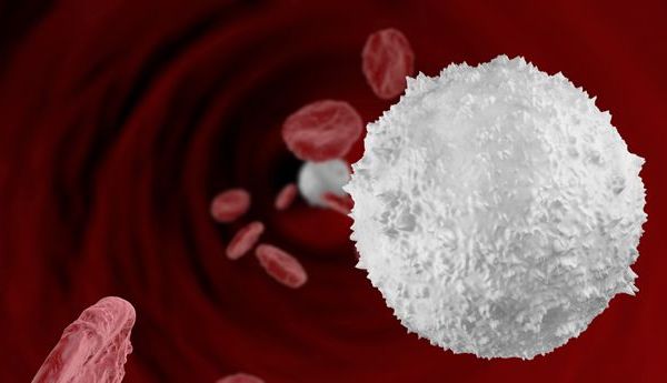How to Increase White Blood Cell Count